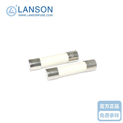 陶瓷保险丝管 6N2100A/B  6.35*32  10A  250V （延时型）